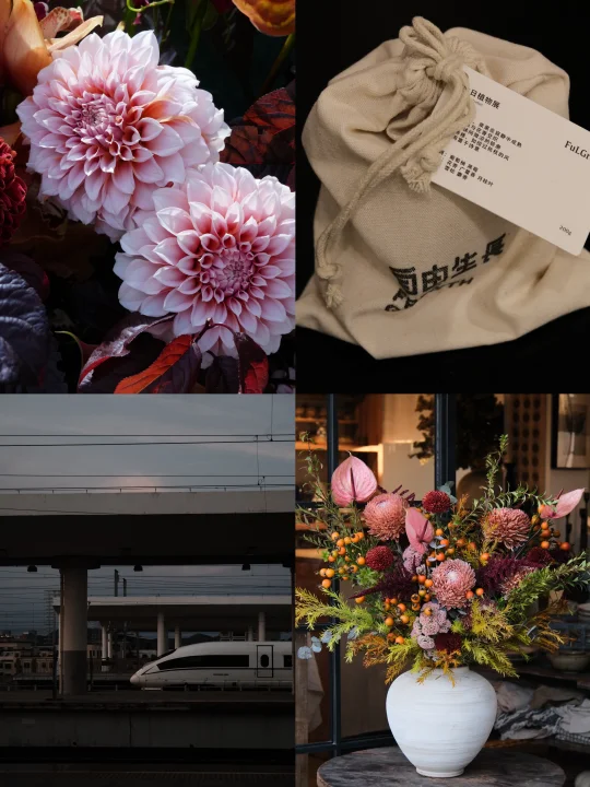 90后植物店主理人的一些日常 。