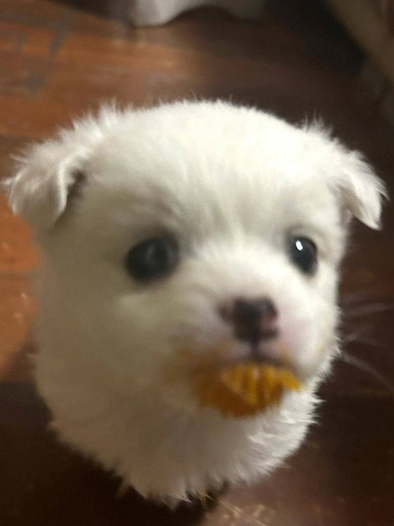 这张很无邪有木有？ 