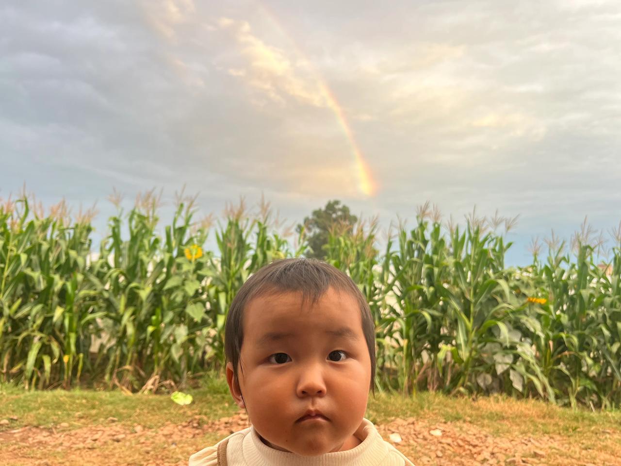 大雨过后又见彩虹🌈