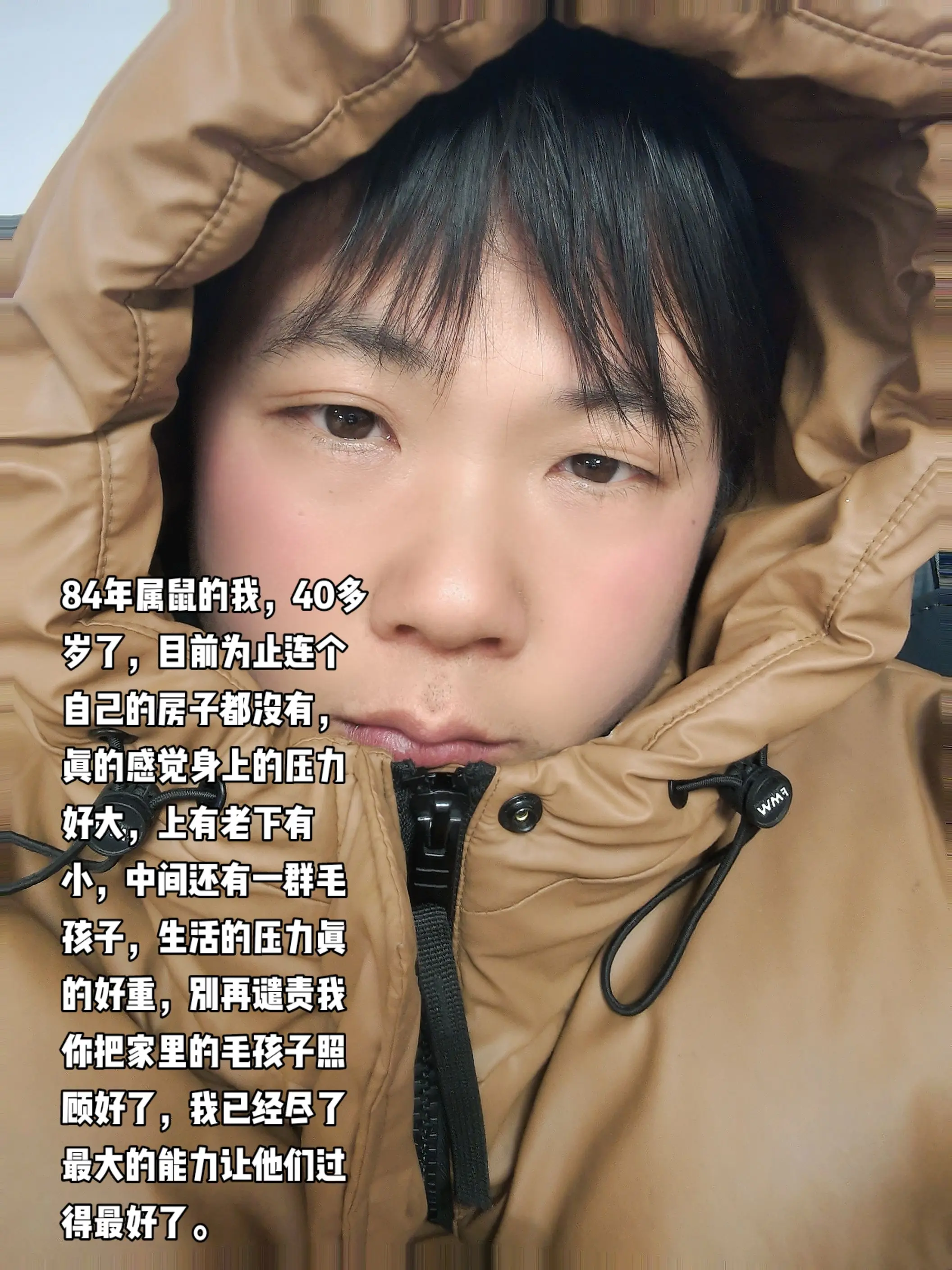 有粉丝说我没有能力就不要养这么多毛孩子