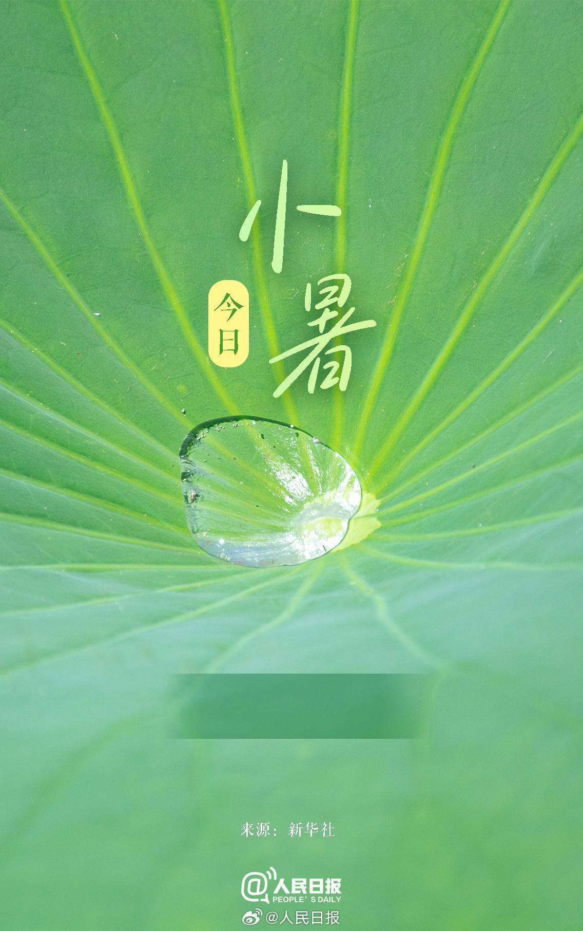 今儿小暑。闷热潮湿的天气将会持续一段时间。此刻唯有种下宁静的种子，方使心里多一些
