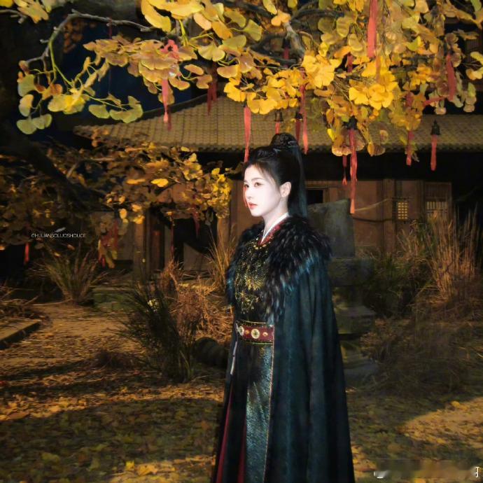 唐宫奇案 为白鹿李佩仪疯狂心动！👖《唐宫奇案》必追，曼妙演绎智商武力双在线的飒