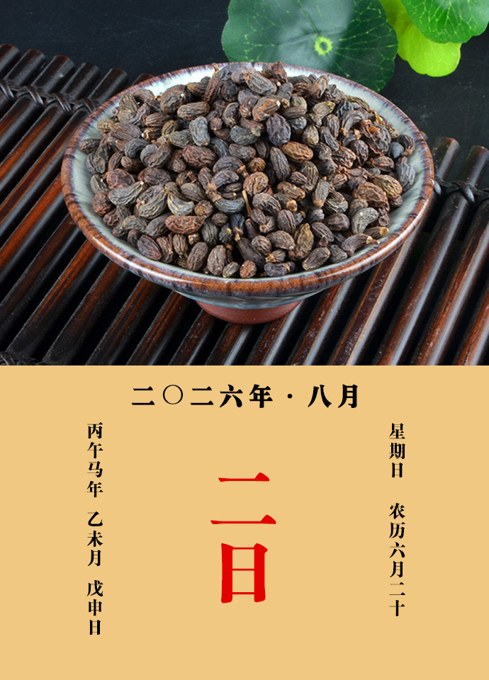 每天一味中草药 甄权说：女贞实能补肝肾气，安五脏，除百病，养精神。主变白发，生毛