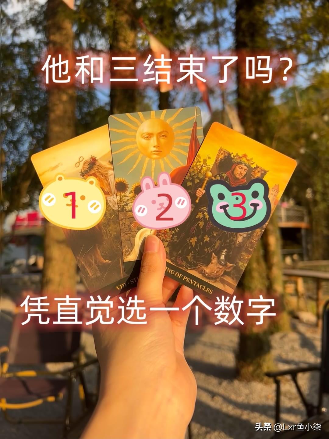 ?
凭直觉选一个数字