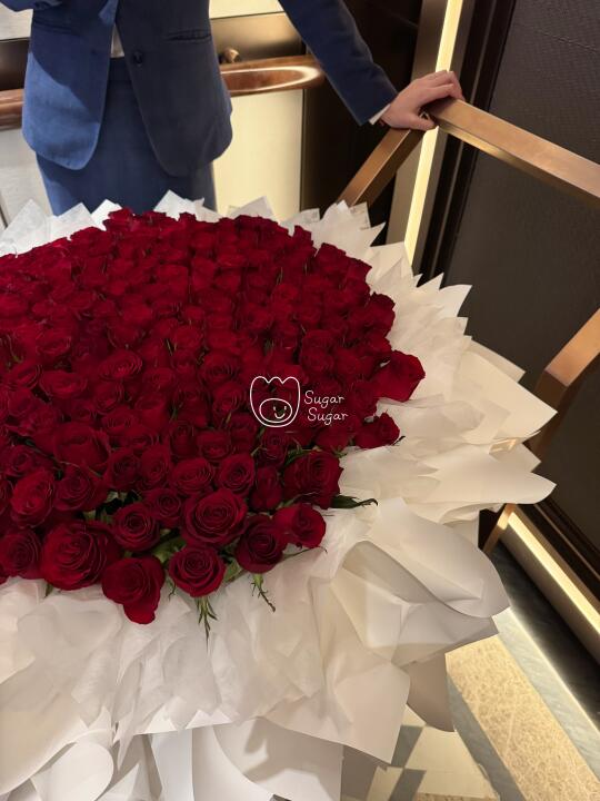 是199只红玫瑰耶🥀