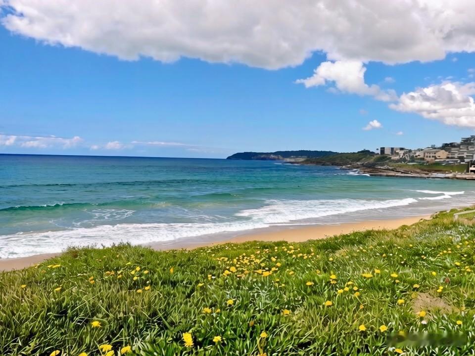 我的最爱是看海!
大海是我永远看不腻的风景。悉尼的海滩一个比一个动人，只要有空，