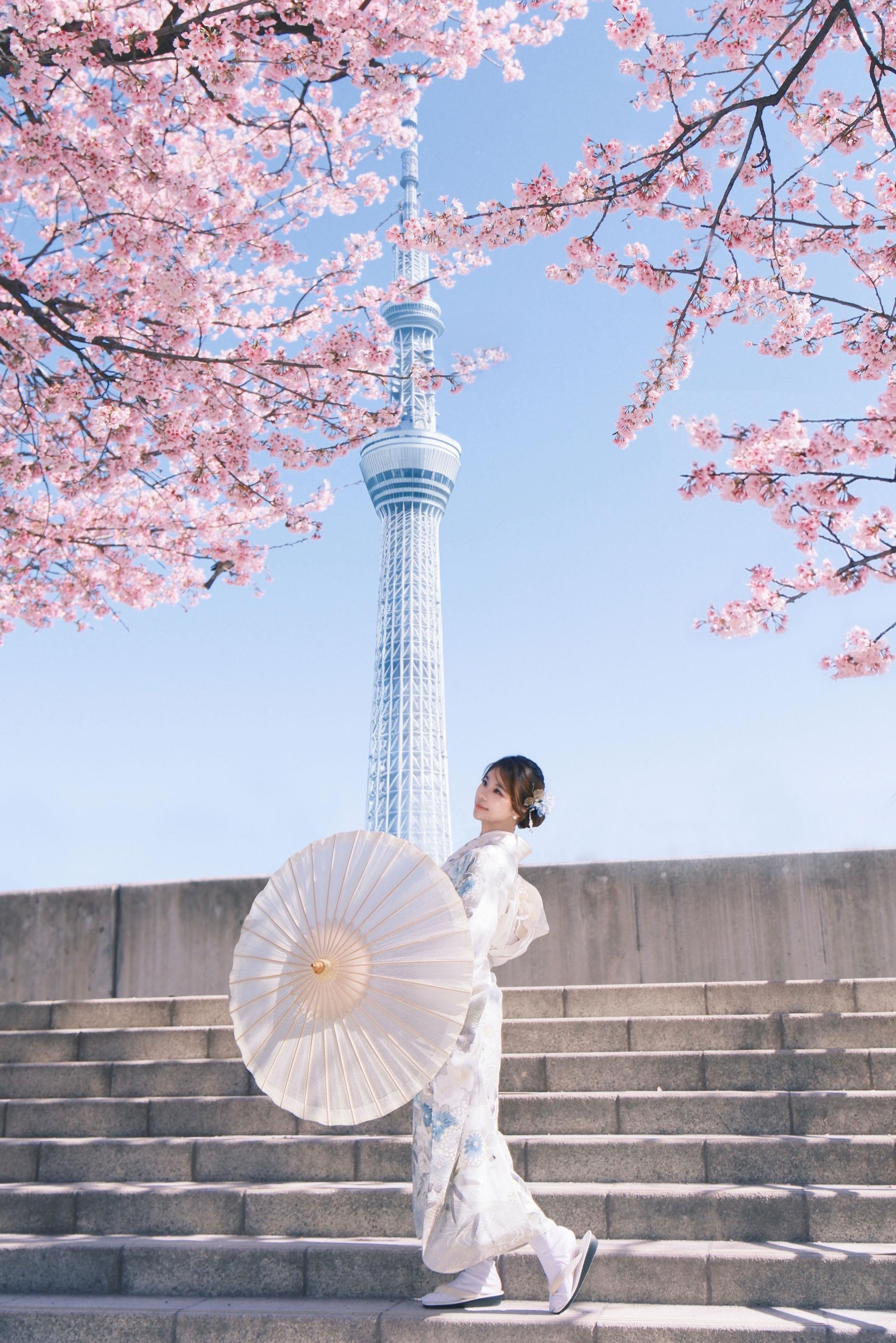 樱花季🌸。📷