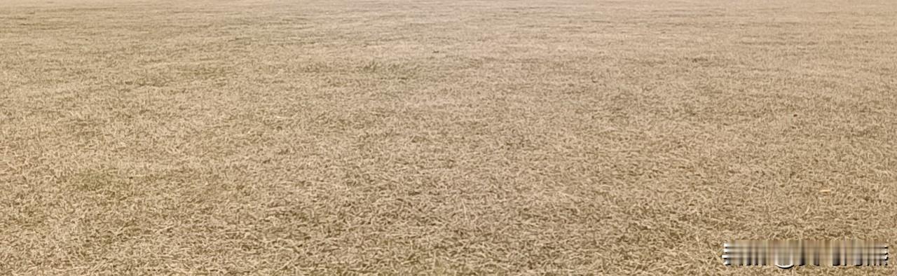 人这一辈子，为什么就这么的短暂。
 
过年回家的时候，姑妈还跟我们有说有笑，精神