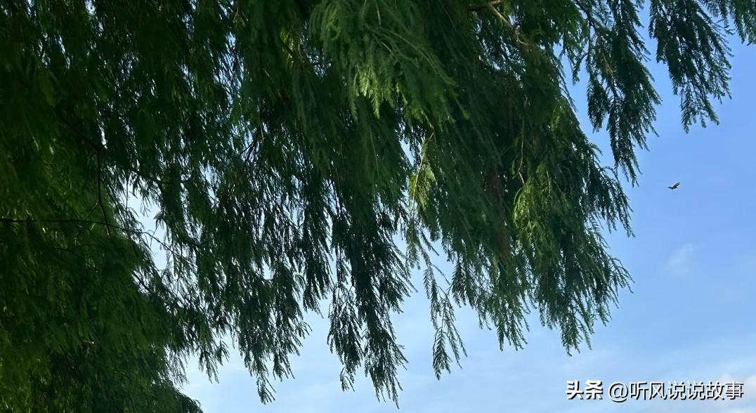 ❤️我越来越相信：圈子，决定了你后半生的样子。和抱怨的人在一起，你会越来越消极；