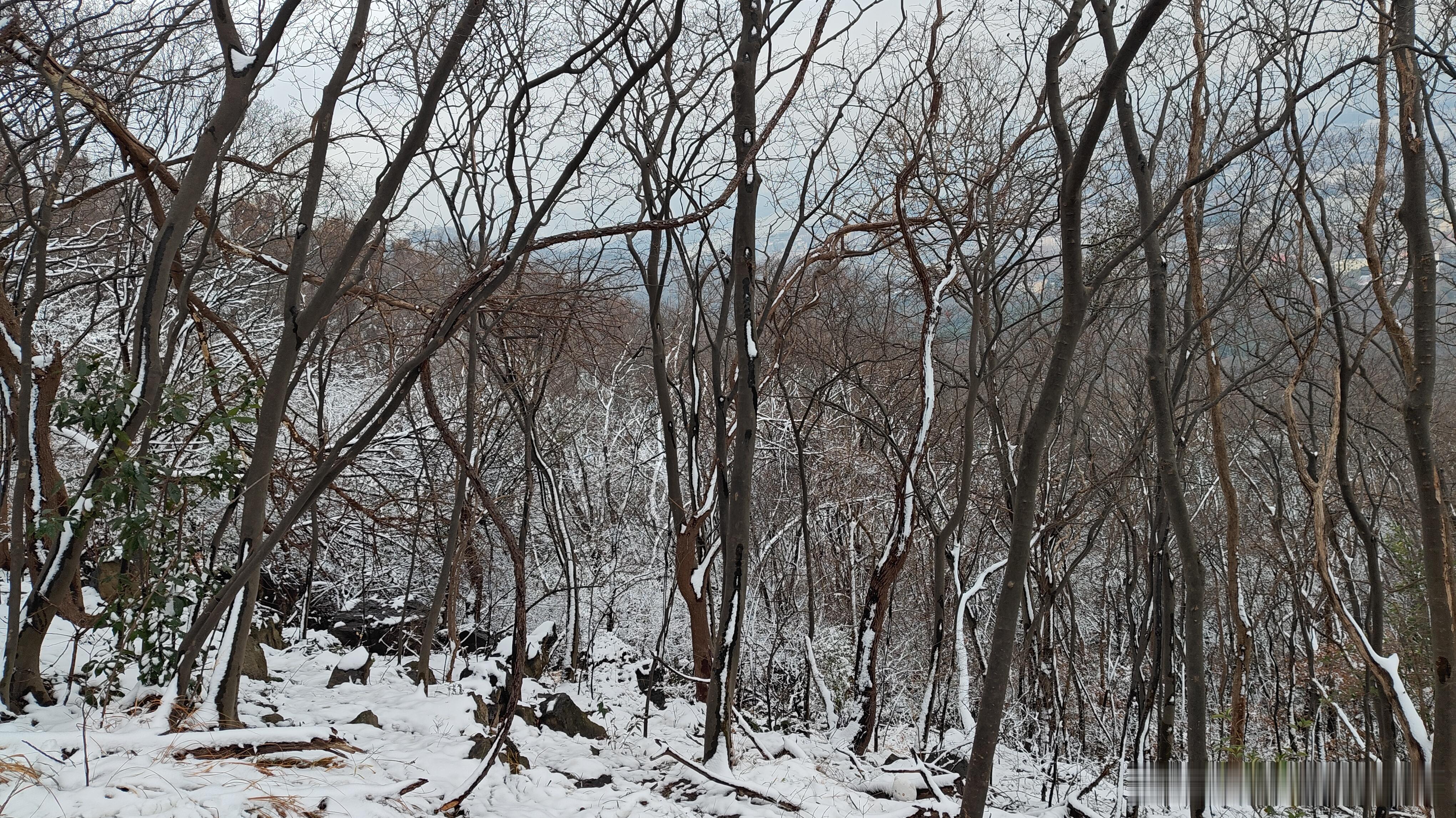 你拍到2026第一场雪了吗拍过了 