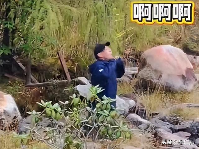 为妻拍照遭数落，男子崩溃。四川甘孜4100米景区，男子反复调整姿势为妻子拍照，成