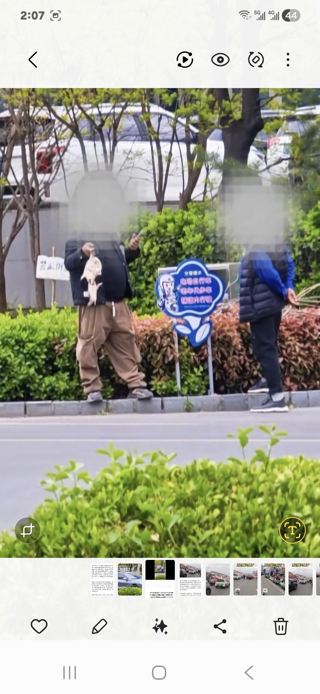 邹平有人当街卖乌龟！

我昨天路过邹平鹤伴二路铝谷大厦这个路口时看到有人卖乌龟，