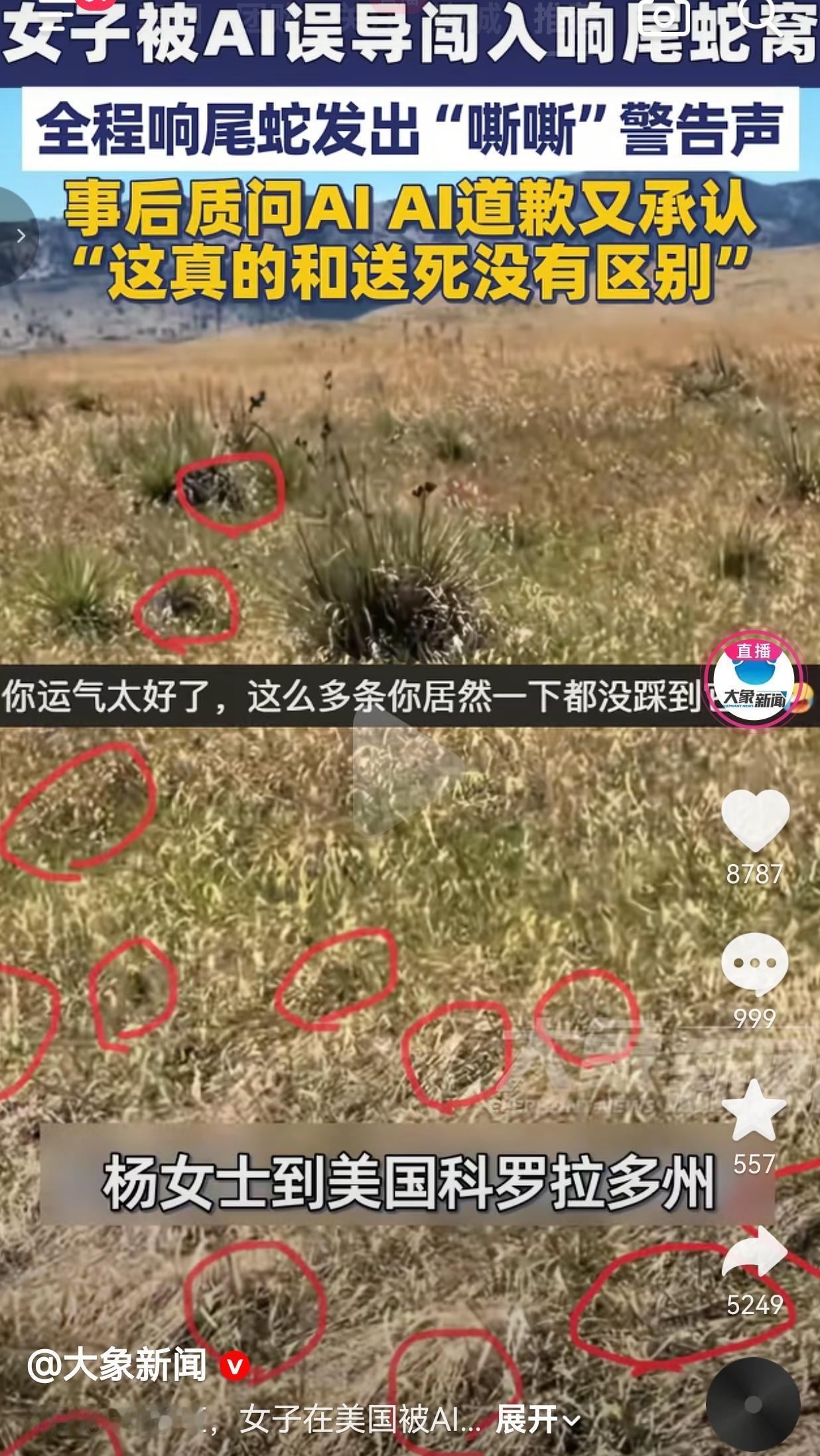 被AI坑到闯响尾蛇窝，事后AI道歉承认：这跟送死没区别

杨女士在美国的科罗拉多