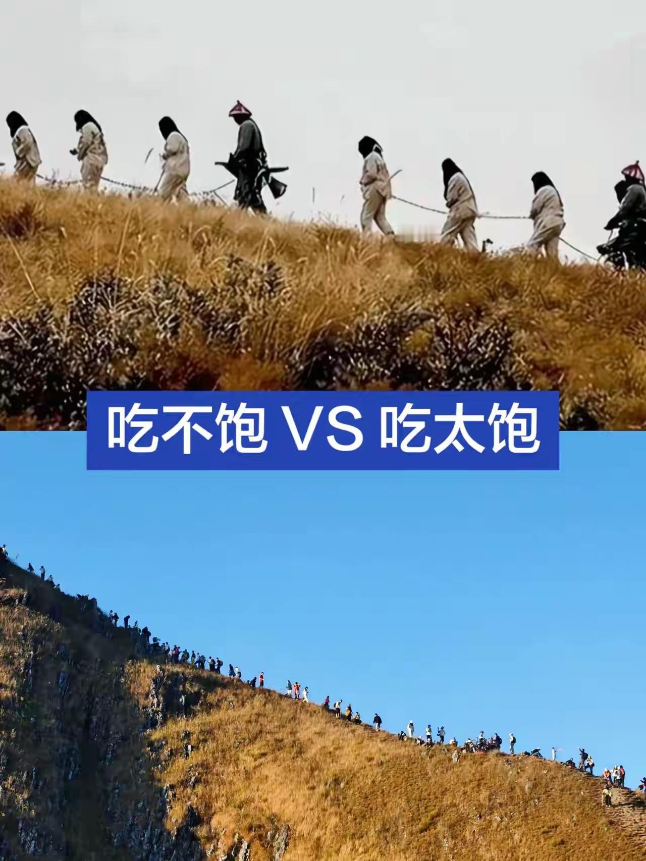 如今AI早已走进千家万户，查信息、写东西、办琐事，随手就能用，给生活添了不少便利