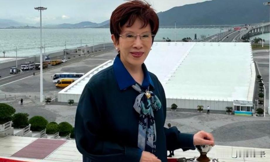 洪秀柱登上天安门，用行动回击赖清德当局，站在了历史正确那一方！[赞][赞]