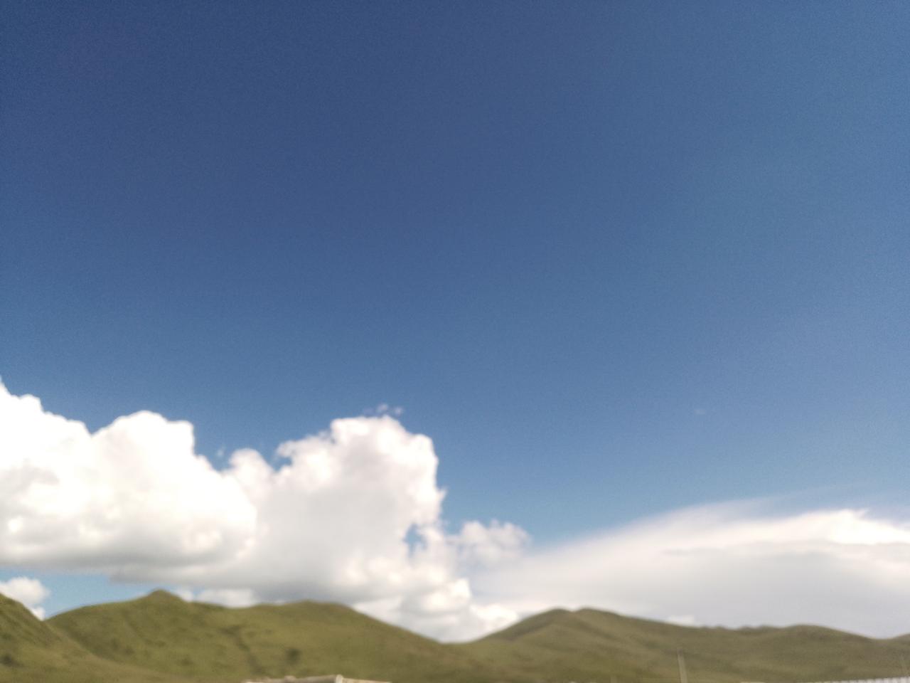 大橘今天三番五次，来我家，翻吃的。可怜又讨厌。可怜是天天饿着。讨厌是我家猫咪都不
