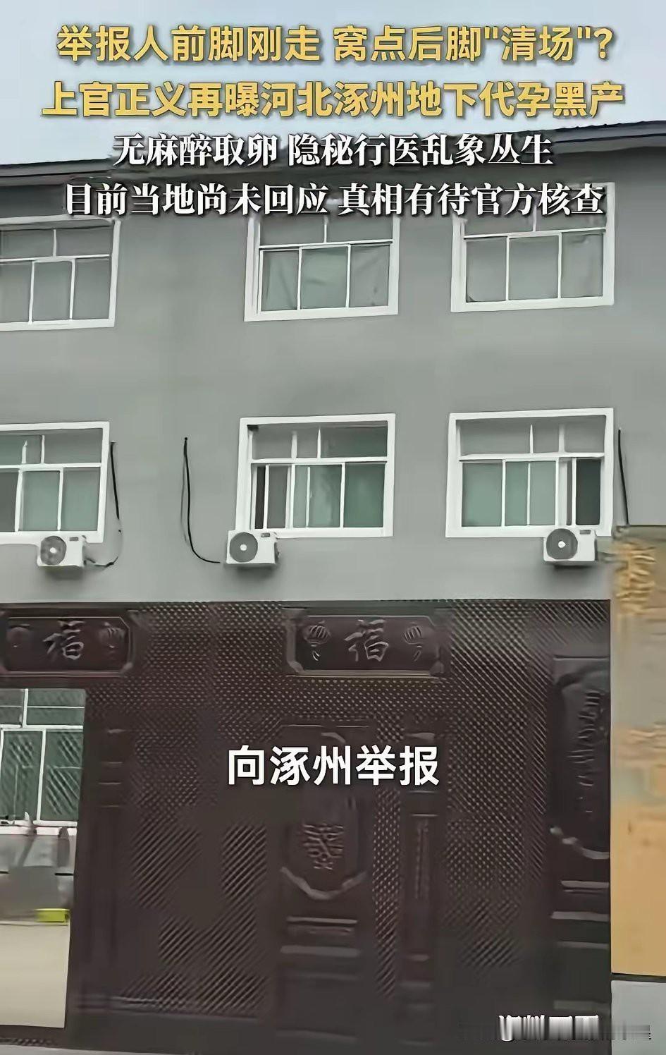 报完警不到十分钟窝点就空了，上官正义问了一句话：谁透的风？
谁能想到，普通乡村一