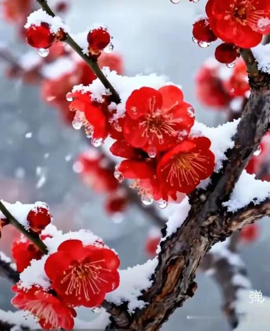 演唱时的情感投入，让歌曲更具生命力。🙏🏻♥️♥️♥️✊🏻💪👍🏻👏?