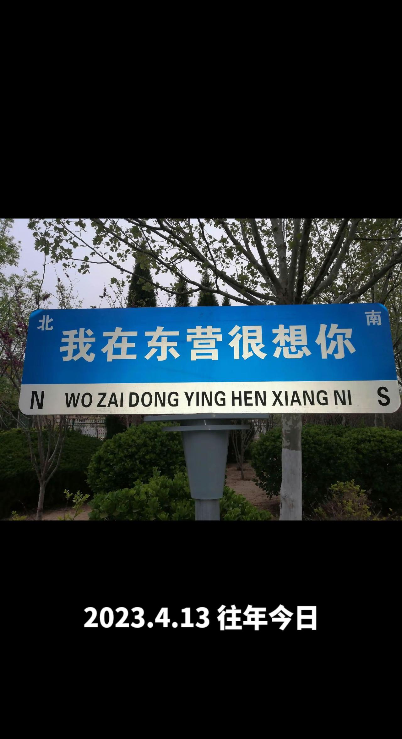 一张图知道你是哪里人能明白吗？秋季遍地的“红地毯”，朝阳初升下的风力发电机，这是