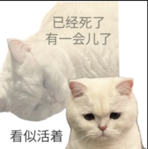 电量耗尽 疯狂赶路的一天