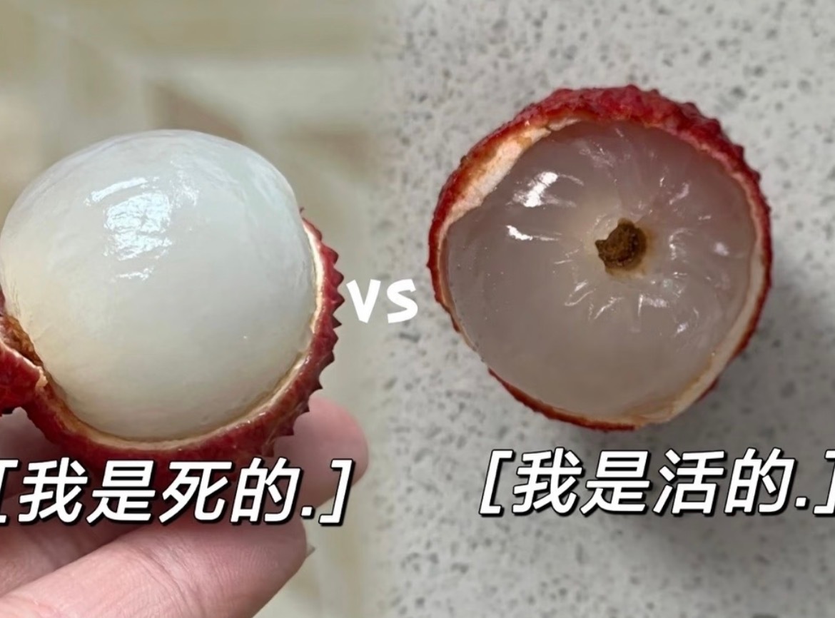 难怪每次我都觉得透明的比白色的好吃，还以为是种类区别呢活荔枝 死荔枝