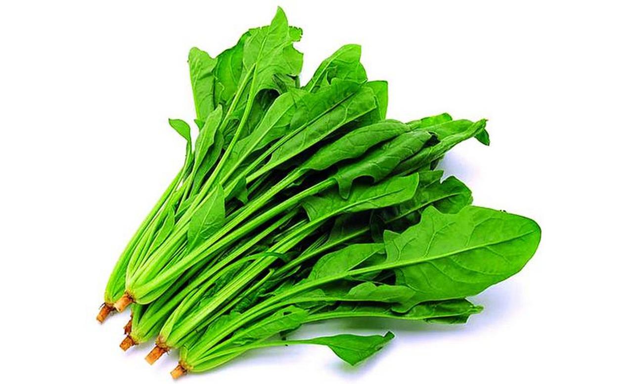 菜市场里常年翠绿的菠菜，近来为何频频出现在 “慎食蔬菜” 清单中？某社区近期接诊