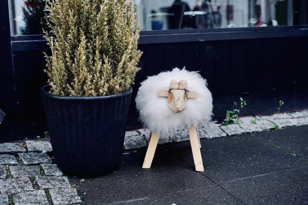 每天吃妈妈做的饭也太幸福了！