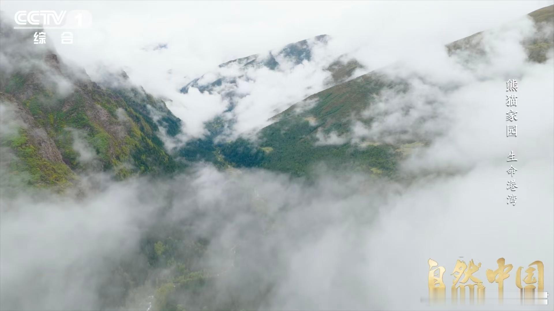 四川山上有个大水龙头 无人机飞过雪宝顶拍下的云海，不是风景，是大自然的生产线。这