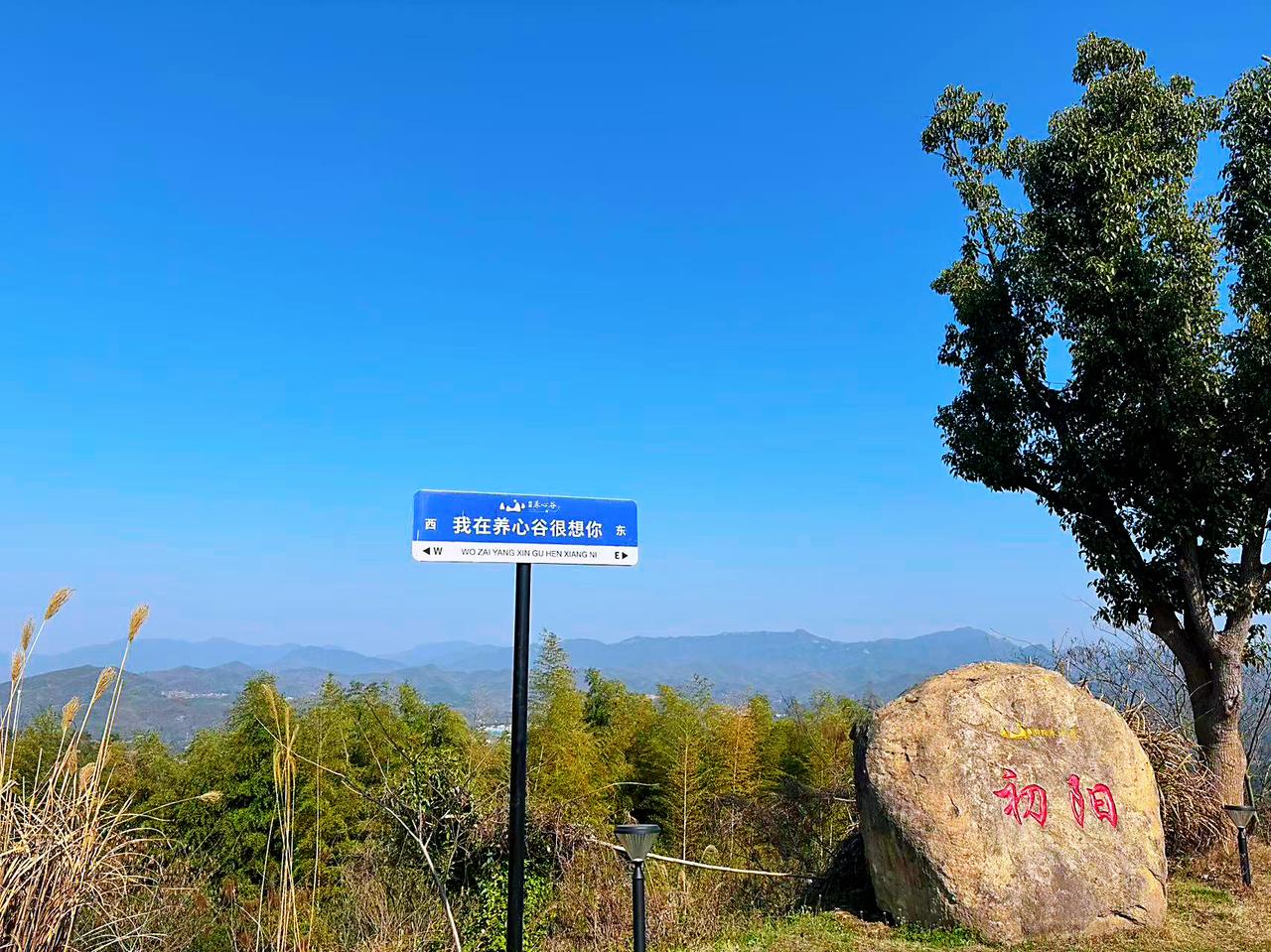 今天，我站在养心谷的山巅，
风裹着草木的清香拂过脸颊。

蓝得透亮的天空铺展在头