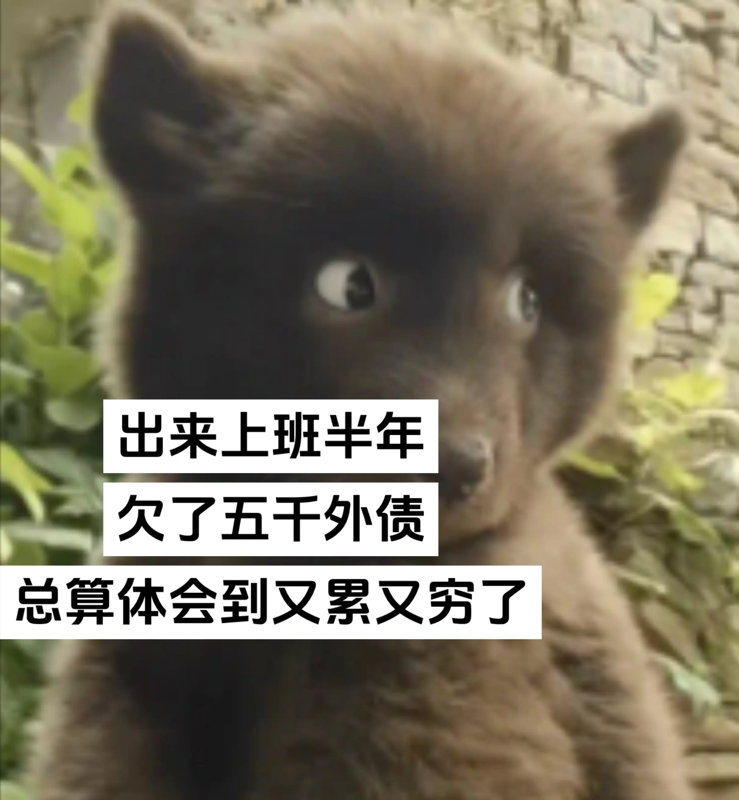 马上家里供不起我上班了。