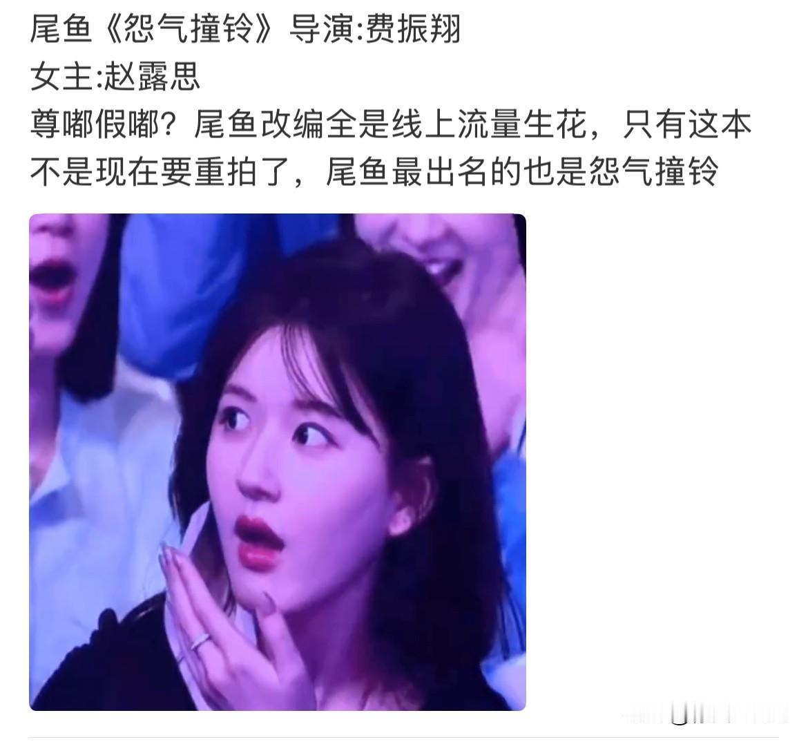 12月24日，赵露思计划明年进组，目前接触的三部剧，一部是尾鱼的《怨气撞铃》，一