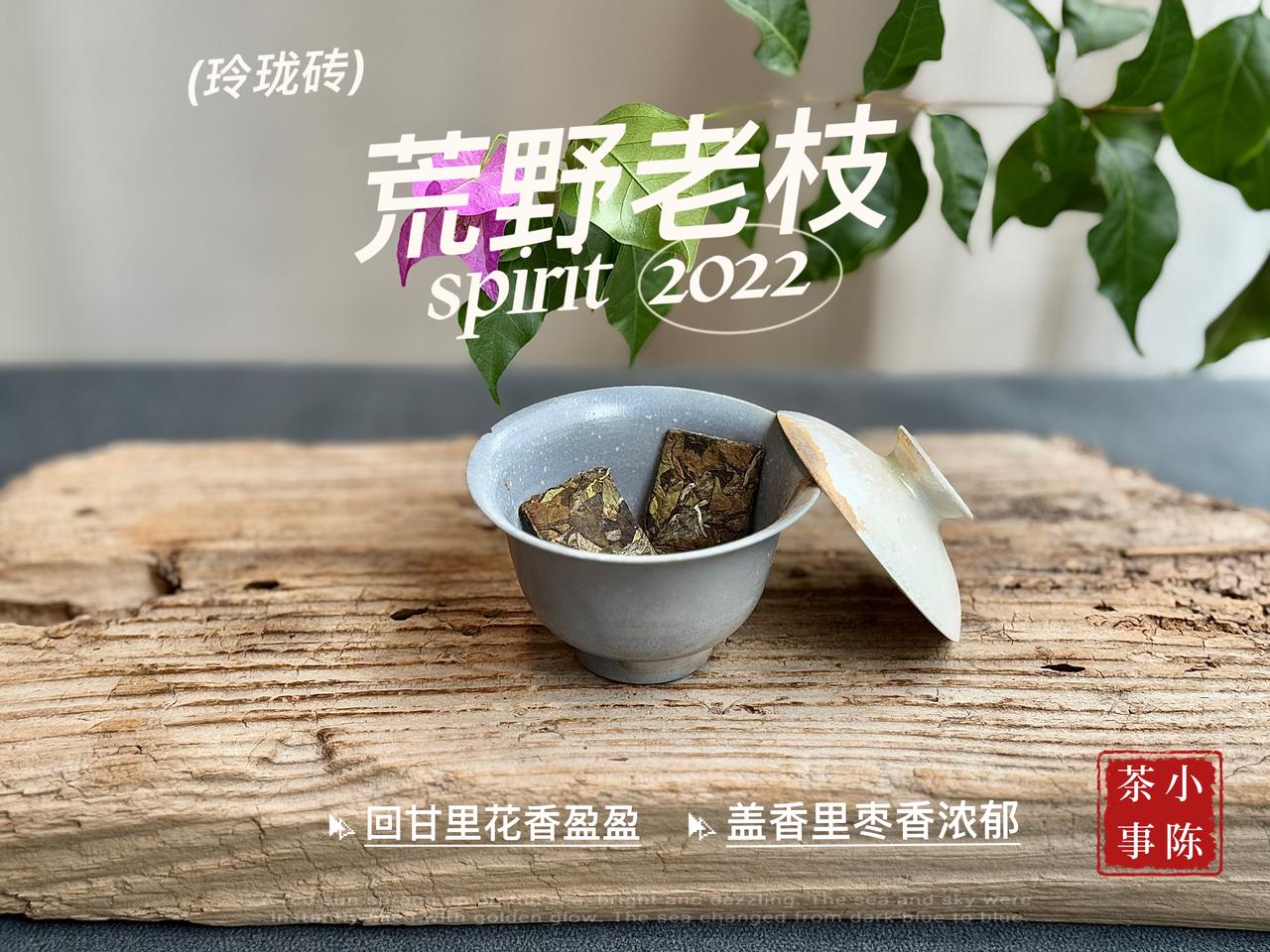 纯日晒的荒野白茶，存多久能转化？
在回答这个问题前，村姑陈先澄清一下，正统白茶的