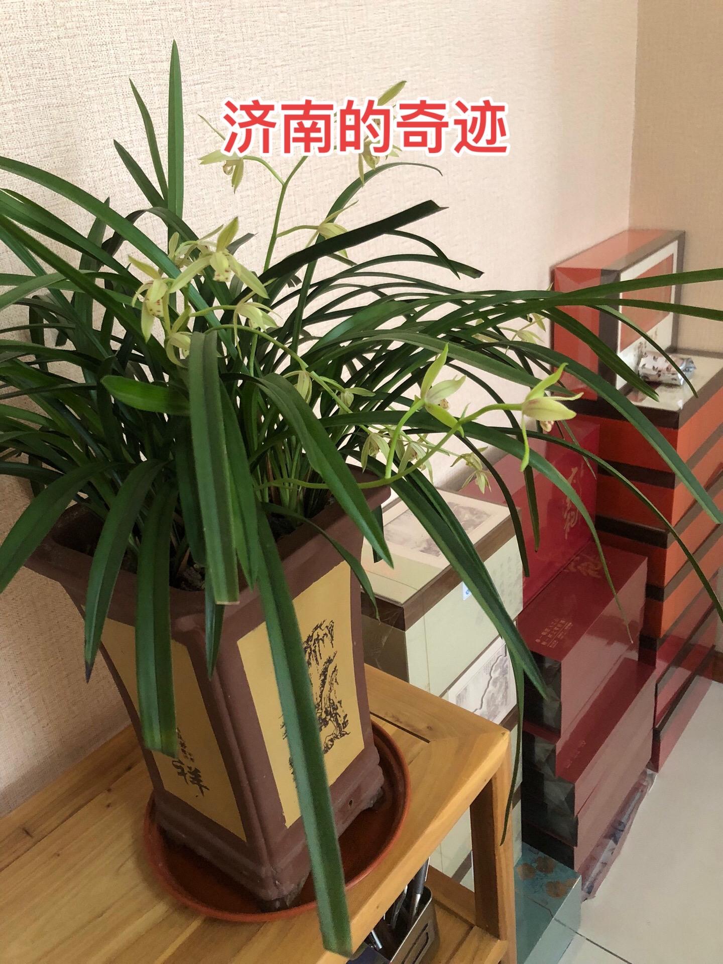 朱元璋把皇位传给孙子朱允炆，建文帝朱允炆一上台就开始削藩。于是朱元璋的...