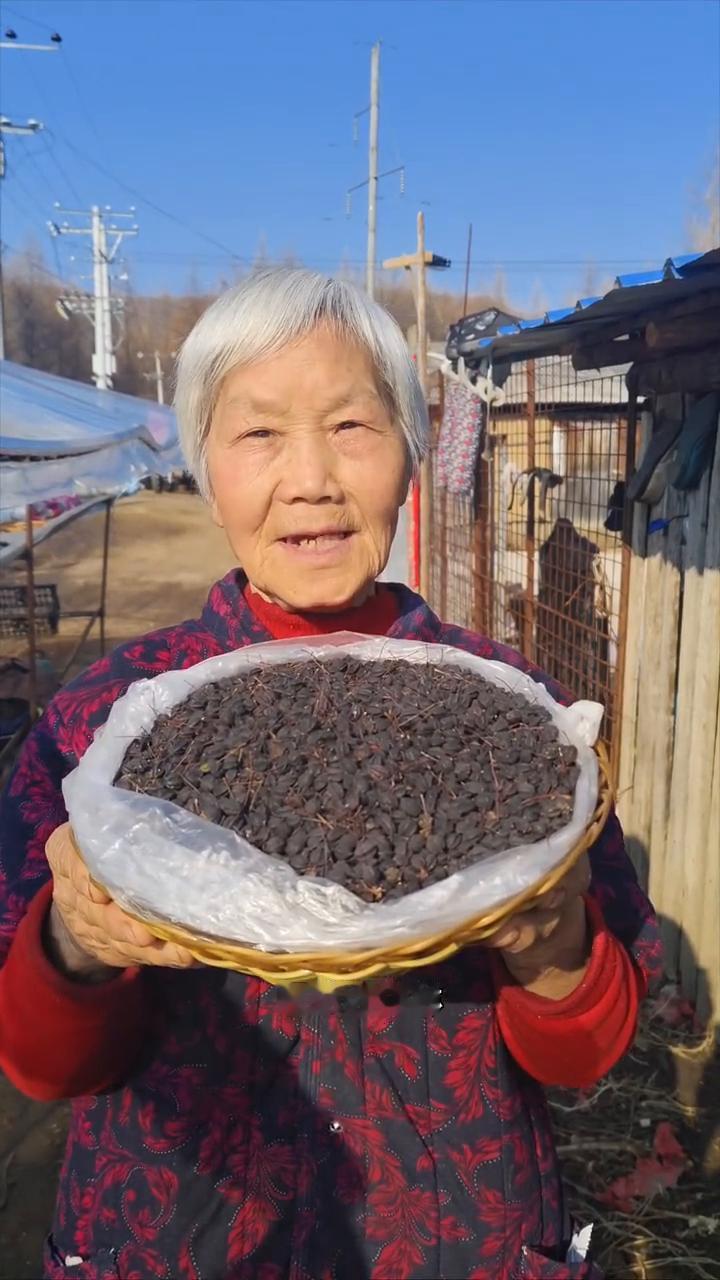 黑龙江原始大森林，纯野生的刺五加籽。
我家是小兴安岭的主脉，原始大森林。这是我们