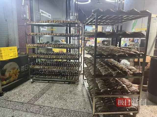 2000多只粽子助力家乡抗灾
为广西女老板莫娇女士点赞

听闻横州云表镇等受灾的
