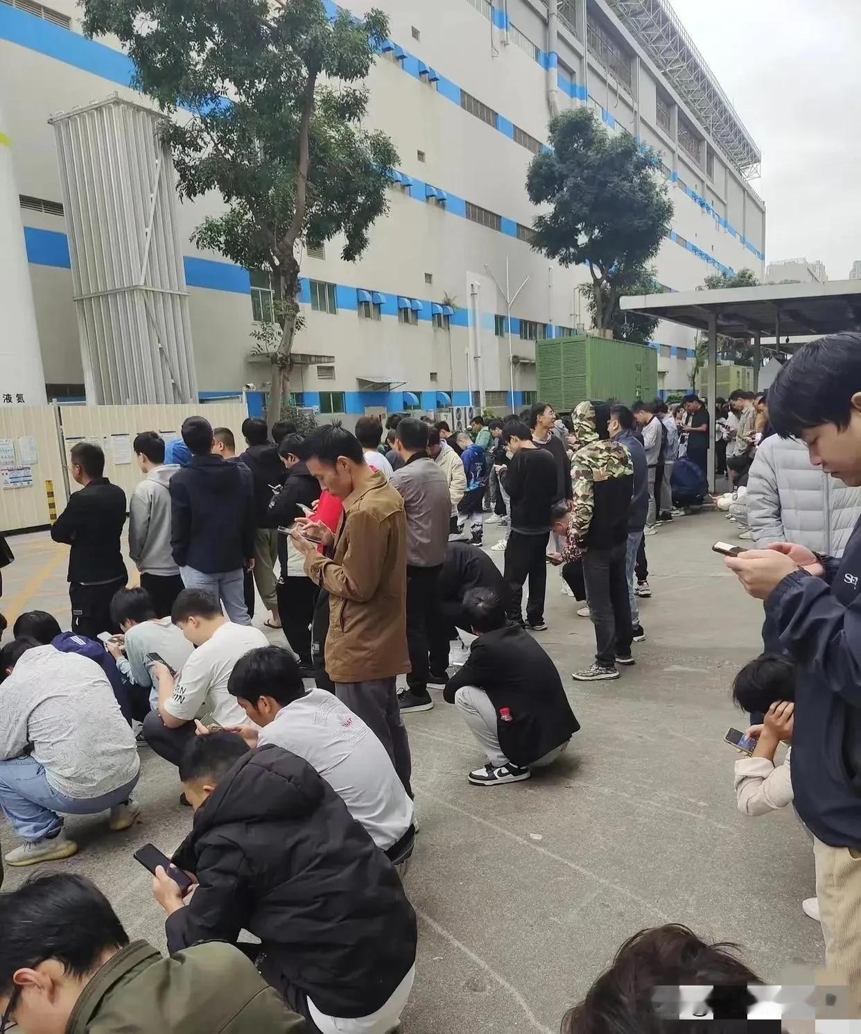 这电子厂怎么看不到女的