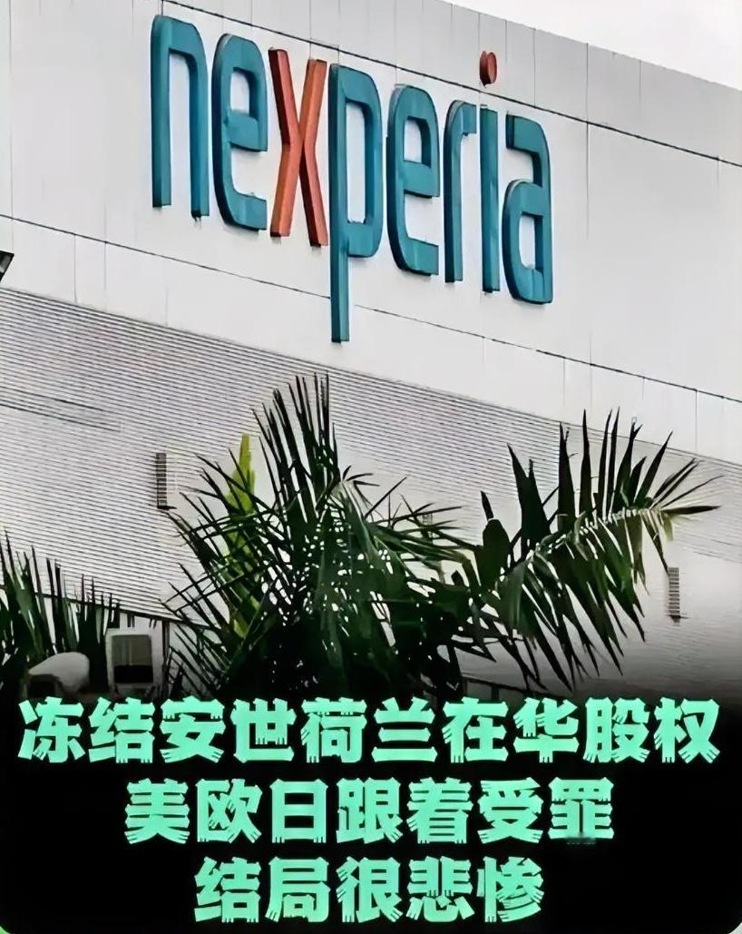 中方不玩了，冻结安世荷兰在华股权，美欧日跟着受罪，结局很悲惨
 
8月31日晚间