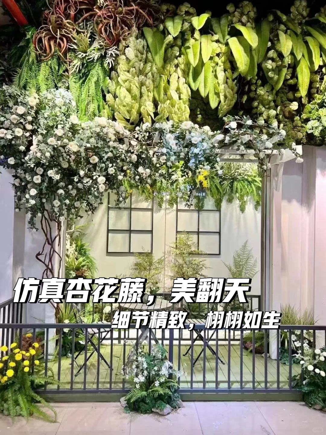 🌺杏花藤花园，美翻天！🌿