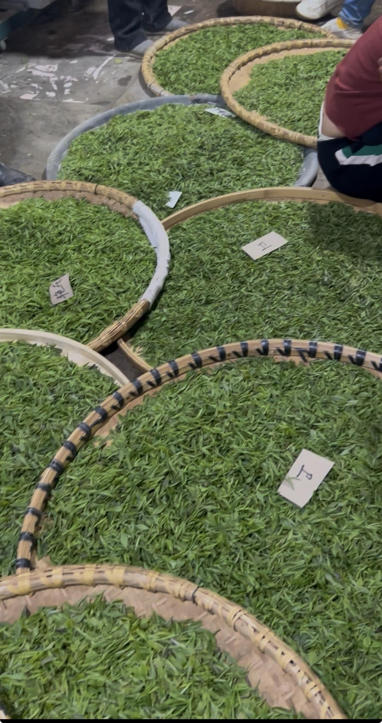 有朋友私信我，
说好久不见，
问我是不是被关了小黑屋。
谢谢大家的关心，
我一切