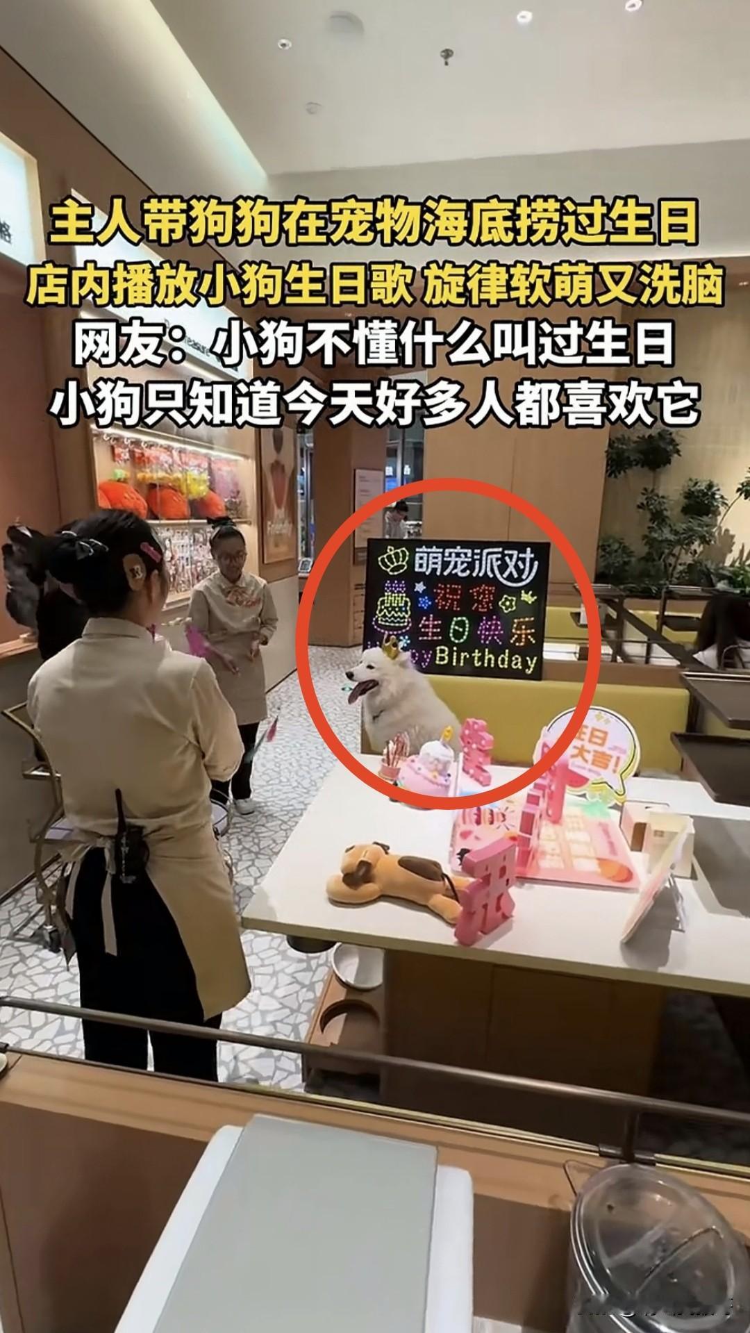 我觉得海底捞的服务越过界了，如果是人，服务员围着唱个生日歌可以理解，体现饭店人性