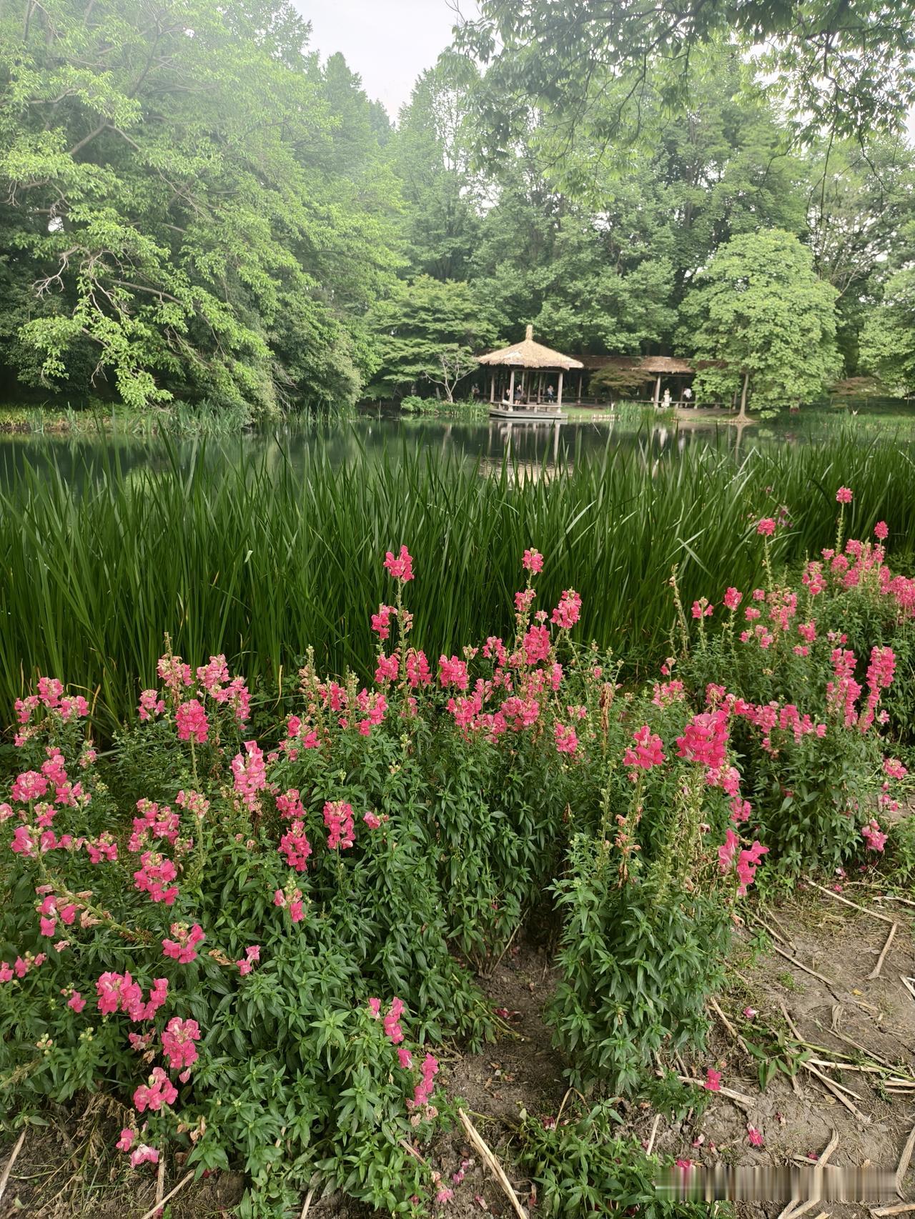 杭州太子湾景区美景