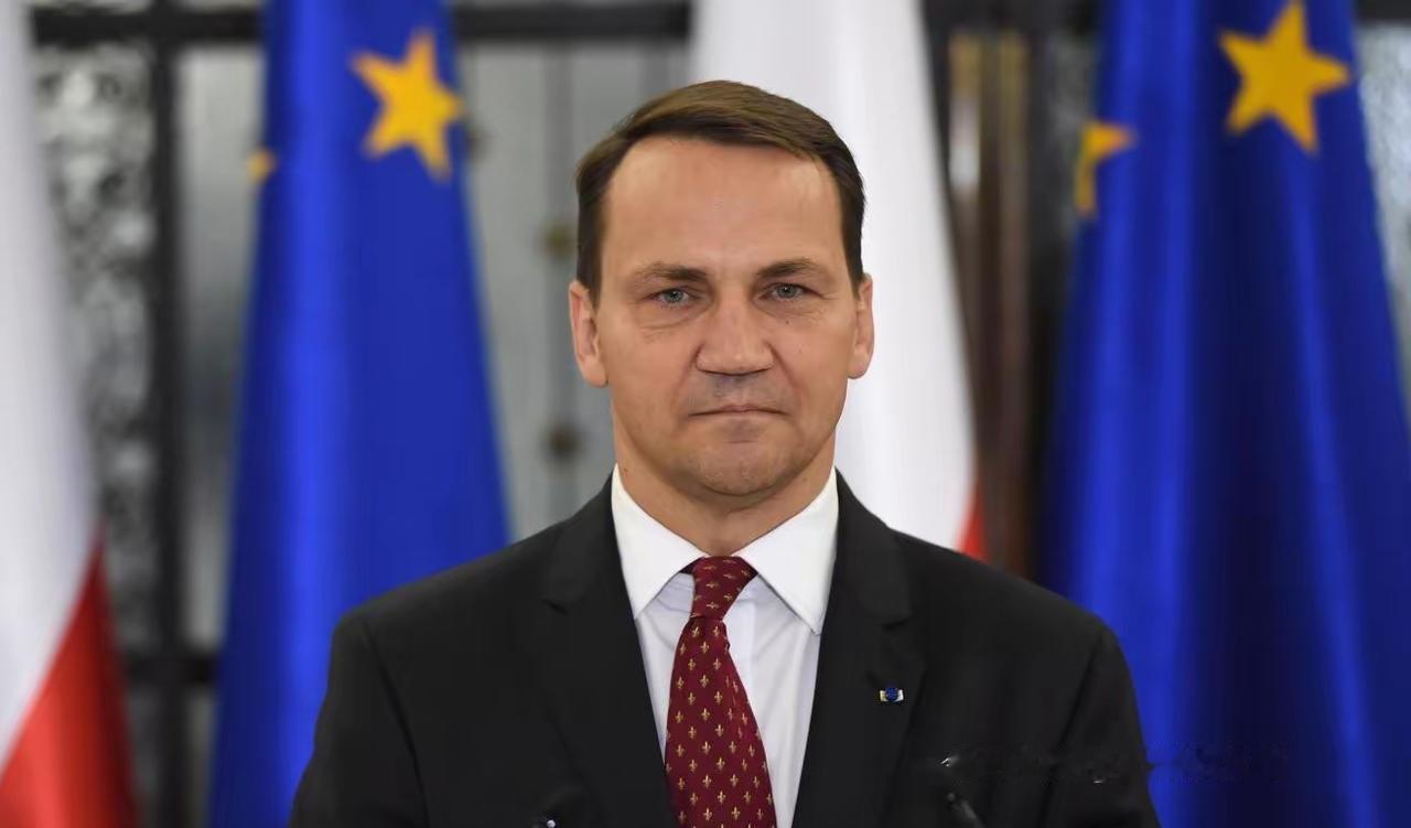 波兰外长在慕尼黑安全会议上他吐槽说：俄罗斯打了四年，连顿巴斯都没完全拿下来，就别