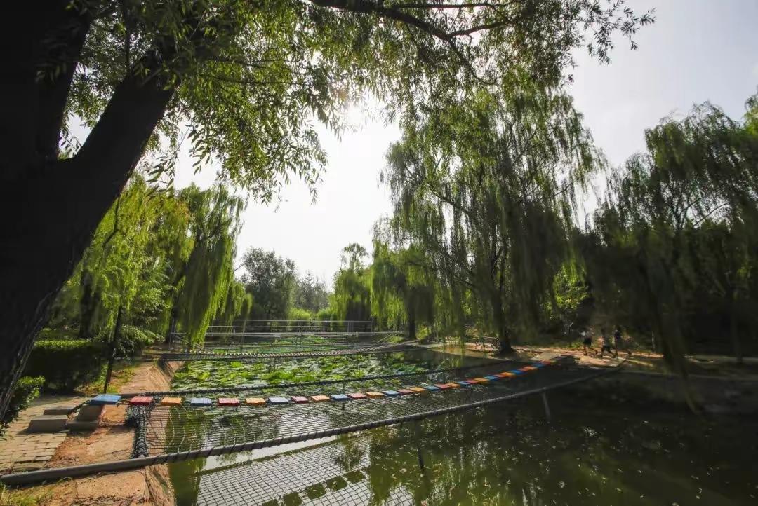 聊城姜堤乐园姜堤乐园，是咱聊城人从小玩到大的“老牌网红”。夏天的“天空之镜”特别