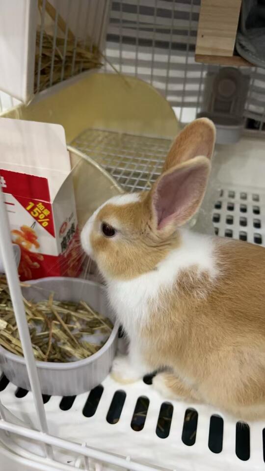 我嚼我嚼嚼嚼 🤣