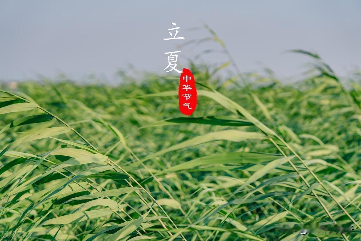         五月五号，立夏。春天去了，夏天来报道。这夏天的第一个节令，古人甚