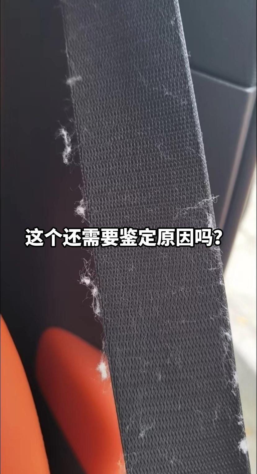 #汽车鉴定趣闻 安全带