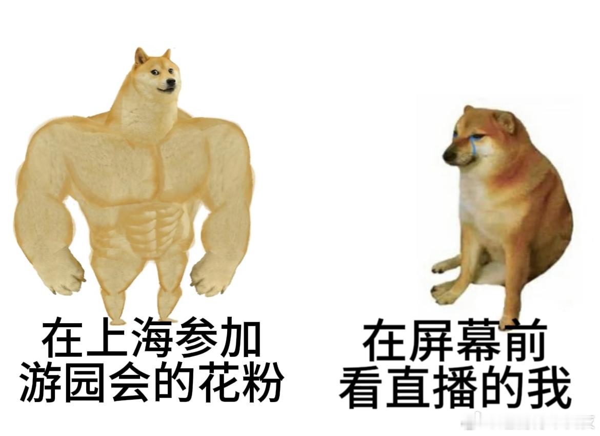 上海这场花粉游园会也太会玩了吧！从签名打卡到各种运动游戏，每一个环节都戳中花粉的