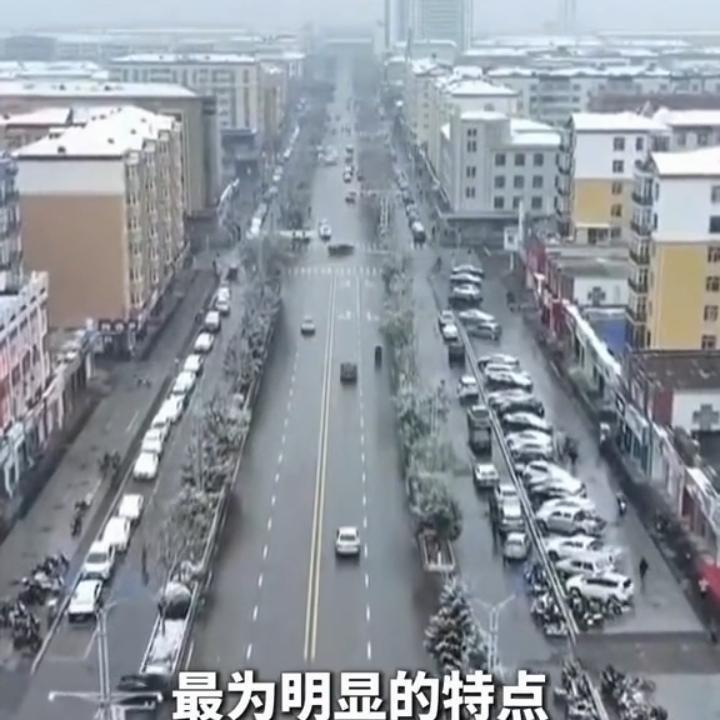 今年会出现极寒冷冬吗？
气候信号与科学预判
 
2025年秋末的异常天气
让“极