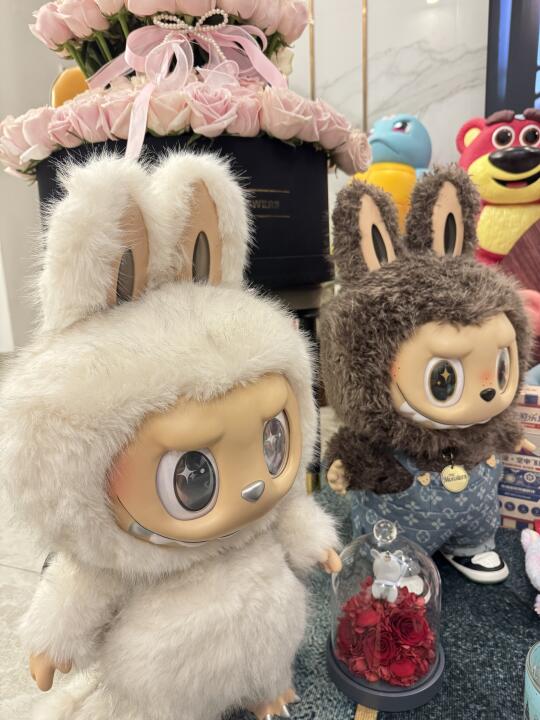 没想到我的Labubu 火了……