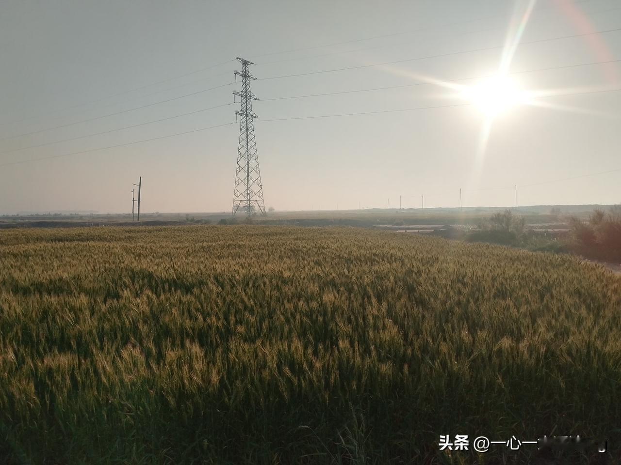 众友友早上好！
今天是5月14日，日出时间5.01分，日落时间7.12分，白天最